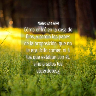Picture 04 - Mateo 12:4 RVA - Cómo entró en la casa de Dios, y comió los - Bible Verse Picture
