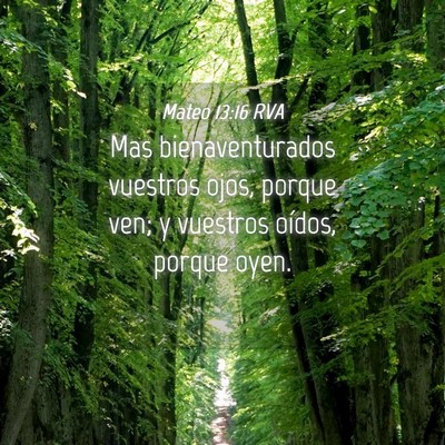 Picture 04 - Mateo 13:16 RVA - Mas bienaventurados vuestros ojos, porque ven; y - Bible Verse Picture