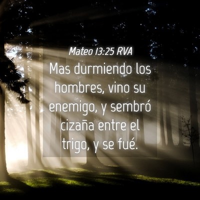 Picture 04 - Mateo 13:25 RVA - Mas durmiendo los hombres, vino su enemigo, y - Bible Verse Picture