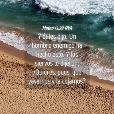 Picture 04 - Mateo 13:28 RVA - Y él les dijo: Un hombre enemigo ha hecho esto. - Bible Verse Picture