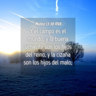 Picture 04 - Mateo 13:38 RVA - Y el campo es el mundo; y la buena simiente son - Bible Verse Picture