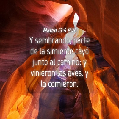 Picture 04 - Mateo 13:4 RVA - Y sembrando, parte de la simiente cayó junto al - Bible Verse Picture