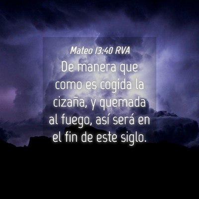 Picture 04 - Mateo 13:40 RVA - De manera que como es cogida la cizaña, y - Bible Verse Picture