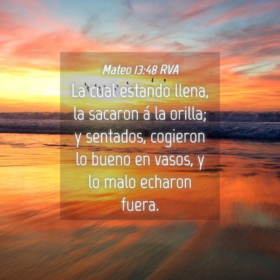 Picture 04 - Mateo 13:48 RVA - La cual estando llena, la sacaron á la orilla; y - Bible Verse Picture