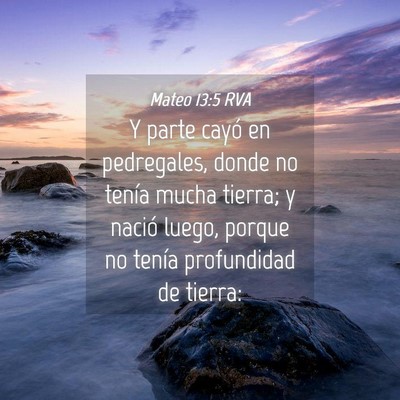 Picture 04 - Mateo 13:5 RVA - Y parte cayó en pedregales, donde no tenía - Bible Verse Picture
