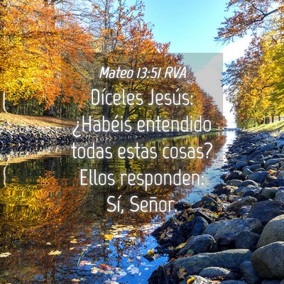 Picture 04 - Mateo 13:51 RVA - Díceles Jesús: ¿Habéis entendido todas estas - Bible Verse Picture