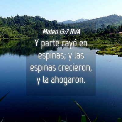 Picture 04 - Mateo 13:7 RVA - Y parte cayó en espinas; y las espinas - Bible Verse Picture