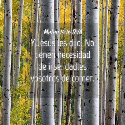 Picture 04 - Mateo 14:16 RVA - Y Jesús les dijo: No tienen necesidad de irse: - Bible Verse Picture