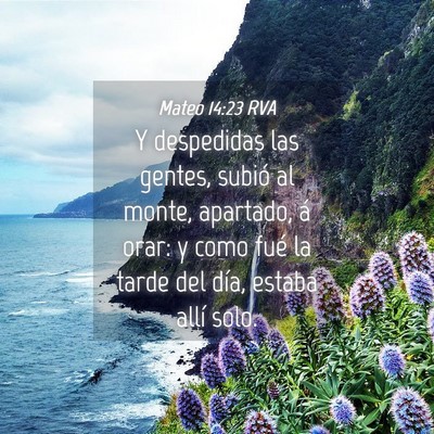 Picture 04 - Mateo 14:23 RVA - Y despedidas las gentes, subió al monte, - Bible Verse Picture