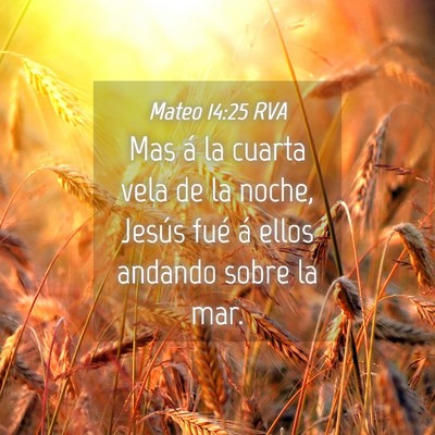 Picture 04 - Mateo 14:25 RVA - Mas á la cuarta vela de la noche, Jesús fué á - Bible Verse Picture