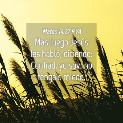 Picture 04 - Mateo 14:27 RVA - Mas luego Jesús les habló, diciendo: Confiad, - Bible Verse Picture