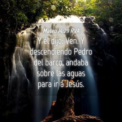 Picture 04 - Mateo 14:29 RVA - Y él dijo: Ven. Y descendiendo Pedro del barco, - Bible Verse Picture