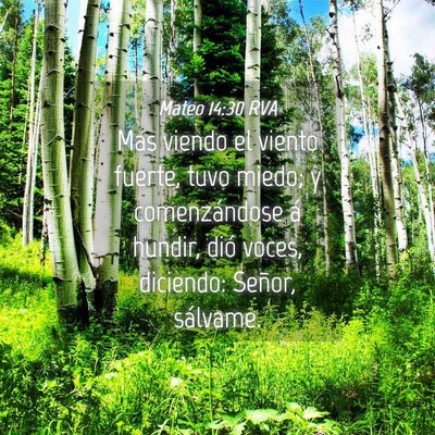 Picture 04 - Mateo 14:30 RVA - Mas viendo el viento fuerte, tuvo miedo; y - Bible Verse Picture