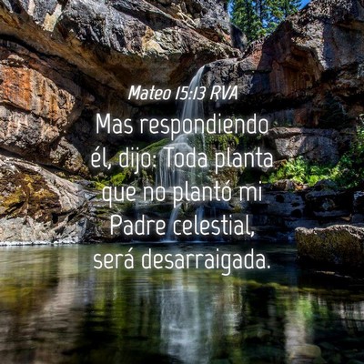 Picture 04 - Mateo 15:13 RVA - Mas respondiendo él, dijo: Toda planta que no - Bible Verse Picture