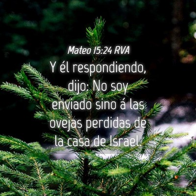 Picture 04 - Mateo 15:24 RVA - Y él respondiendo, dijo: No soy enviado sino á - Bible Verse Picture
