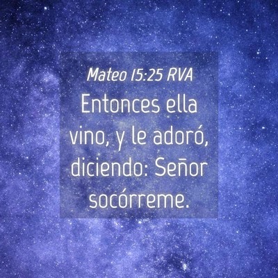 Picture 04 - Mateo 15:25 RVA - Entonces ella vino, y le adoró, diciendo: Señor - Bible Verse Picture