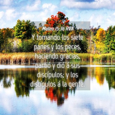 Picture 04 - Mateo 15:36 RVA - Y tomando los siete panes y los peces, haciendo - Bible Verse Picture