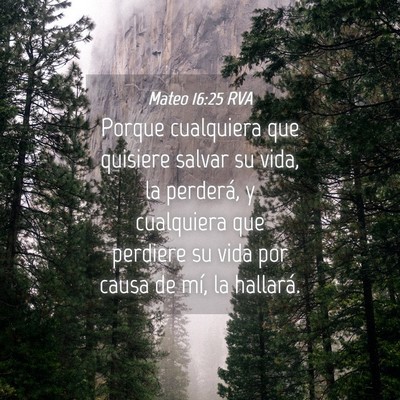 Picture 04 - Mateo 16:25 RVA - Porque cualquiera que quisiere salvar su vida, la - Bible Verse Picture