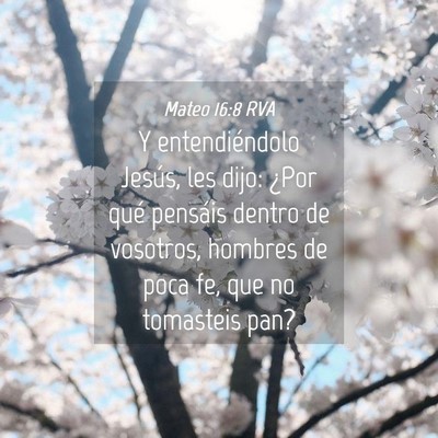Picture 04 - Mateo 16:8 RVA - Y entendiéndolo Jesús, les dijo: ¿Por qué - Bible Verse Picture