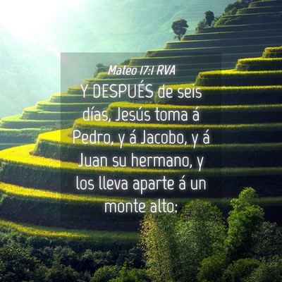 Picture 04 - Mateo 17:1 RVA - Y DESPUÉS de seis días, Jesús toma á Pedro, y - Bible Verse Picture