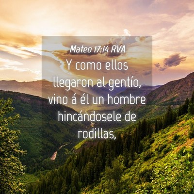 Picture 04 - Mateo 17:14 RVA - Y como ellos llegaron al gentío, vino á él un - Bible Verse Picture