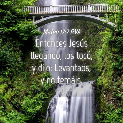 Picture 04 - Mateo 17:7 RVA - Entonces Jesús llegando, los tocó, y dijo: - Bible Verse Picture