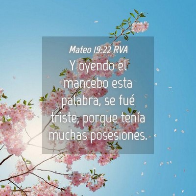 Picture 04 - Mateo 19:22 RVA - Y oyendo el mancebo esta palabra, se fué triste, - Bible Verse Picture