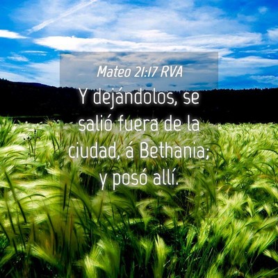 Picture 04 - Mateo 21:17 RVA - Y dejándolos, se salió fuera de la ciudad, á - Bible Verse Picture