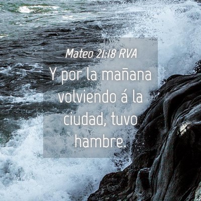Picture 04 - Mateo 21:18 RVA - Y por la mañana volviendo á la ciudad, tuvo - Bible Verse Picture