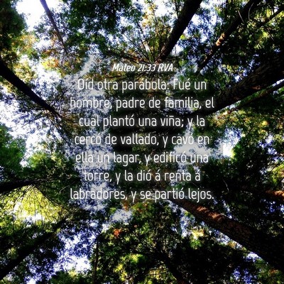 Picture 04 - Mateo 21:33 RVA - Oíd otra parábola: Fué un hombre, padre de - Bible Verse Picture