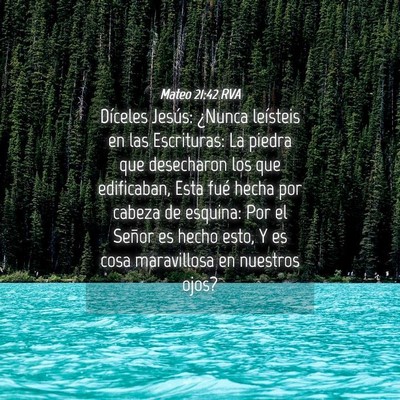 Picture 04 - Mateo 21:42 RVA - Díceles Jesús: ¿Nunca leísteis en las - Bible Verse Picture