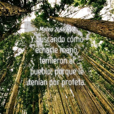 Picture 04 - Mateo 21:46 RVA - Y buscando cómo echarle mano, temieron al - Bible Verse Picture