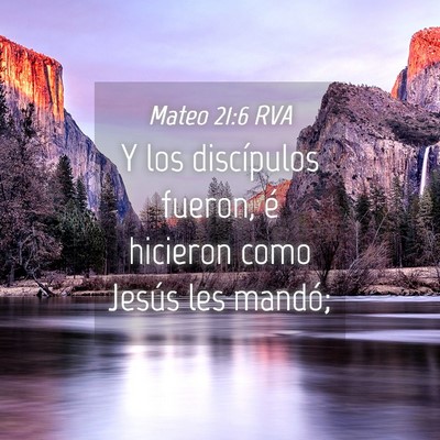 Picture 04 - Mateo 21:6 RVA - Y los discípulos fueron, é hicieron como Jesús - Bible Verse Picture
