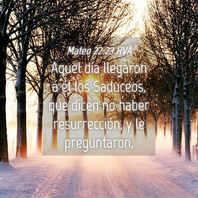 Picture 04 - Mateo 22:23 RVA - Aquel día llegaron á él los Saduceos, que - Bible Verse Picture