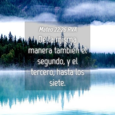 Picture 04 - Mateo 22:26 RVA - De la misma manera también el segundo, y el - Bible Verse Picture