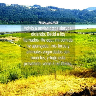 Picture 04 - Mateo 22:4 RVA - Volvió á enviar otros siervos, diciendo: Decid - Bible Verse Picture