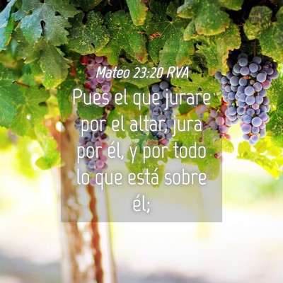 Picture 04 - Mateo 23:20 RVA - Pues el que jurare por el altar, jura por él, y - Bible Verse Picture