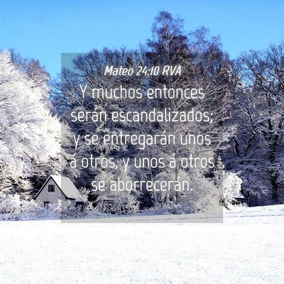 Picture 04 - Mateo 24:10 RVA - Y muchos entonces serán escandalizados; y se - Bible Verse Picture