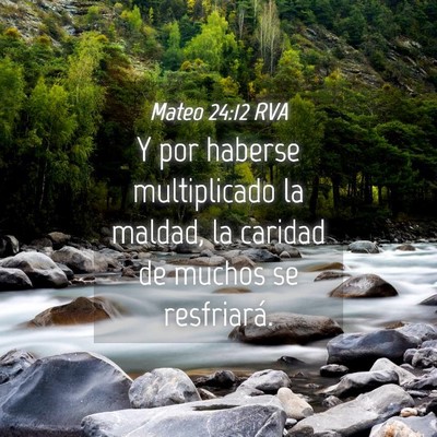 Picture 04 - Mateo 24:12 RVA - Y por haberse multiplicado la maldad, la caridad - Bible Verse Picture