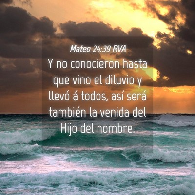 Picture 04 - Mateo 24:39 RVA - Y no conocieron hasta que vino el diluvio y - Bible Verse Picture
