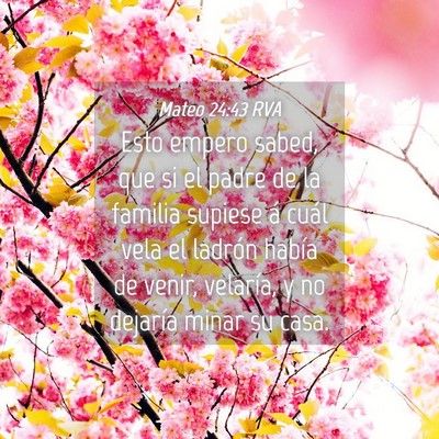 Picture 04 - Mateo 24:43 RVA - Esto empero sabed, que si el padre de la familia - Bible Verse Picture