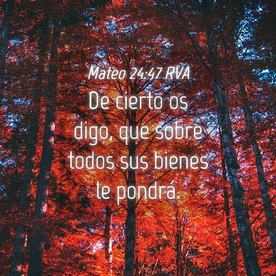 Picture 04 - Mateo 24:47 RVA - De cierto os digo, que sobre todos sus bienes le - Bible Verse Picture