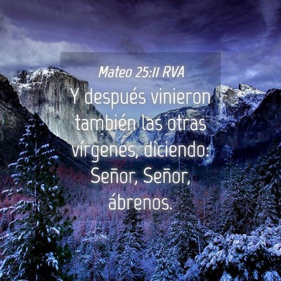 Picture 04 - Mateo 25:11 RVA - Y después vinieron también las otras vírgenes, - Bible Verse Picture