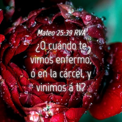 Picture 04 - Mateo 25:39 RVA - ¿O cuándo te vimos enfermo, ó en la cárcel, y - Bible Verse Picture