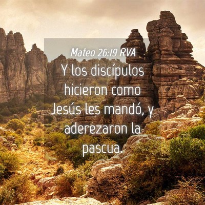 Picture 04 - Mateo 26:19 RVA - Y los discípulos hicieron como Jesús les - Bible Verse Picture