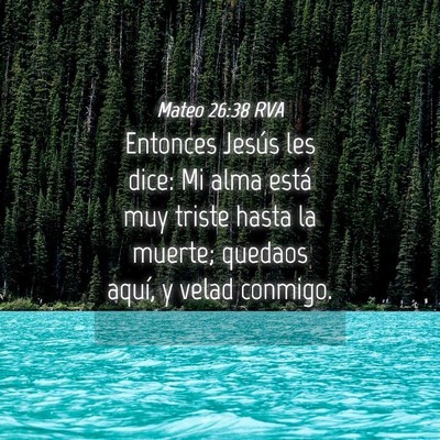 Picture 04 - Mateo 26:38 RVA - Entonces Jesús les dice: Mi alma está muy - Bible Verse Picture