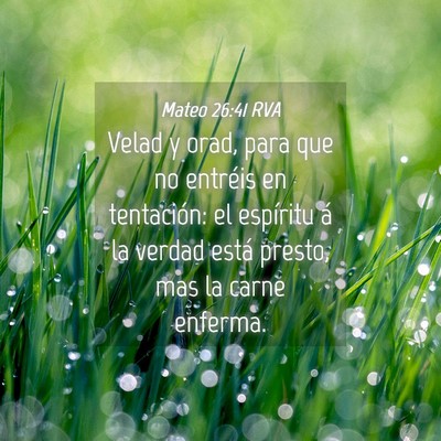 Picture 04 - Mateo 26:41 RVA - Velad y orad, para que no entréis en tentación: - Bible Verse Picture