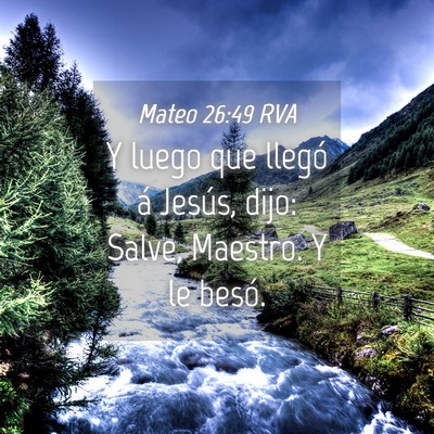 Picture 04 - Mateo 26:49 RVA - Y luego que llegó á Jesús, dijo: Salve, - Bible Verse Picture