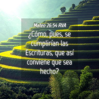 Picture 04 - Mateo 26:54 RVA - ¿Cómo, pues, se cumplirían las Escrituras, que - Bible Verse Picture