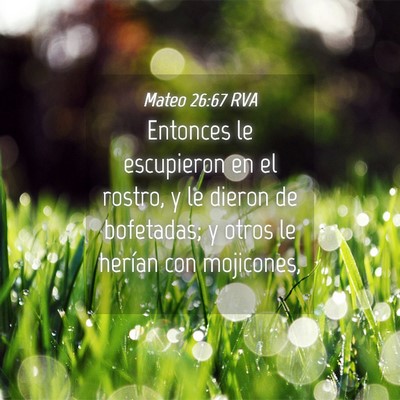 Picture 04 - Mateo 26:67 RVA - Entonces le escupieron en el rostro, y le dieron - Bible Verse Picture
